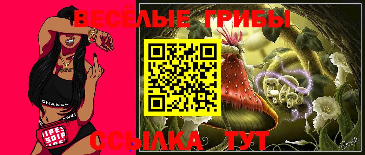 Псилоцибиновые грибы прущие грибы  Вход с VPN  Дятьково 