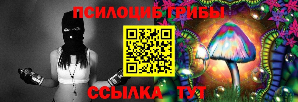 Псилоцибиновые грибы Psilocybe Дятьково